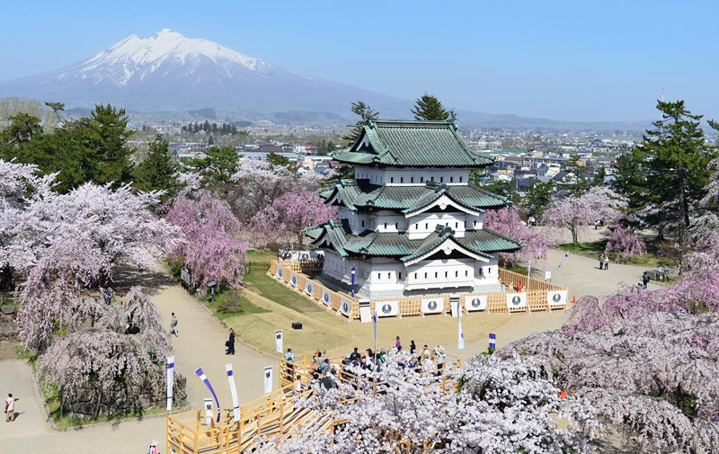 Hirosaki ⇔ Oirase/Towada Sightseeing Bus